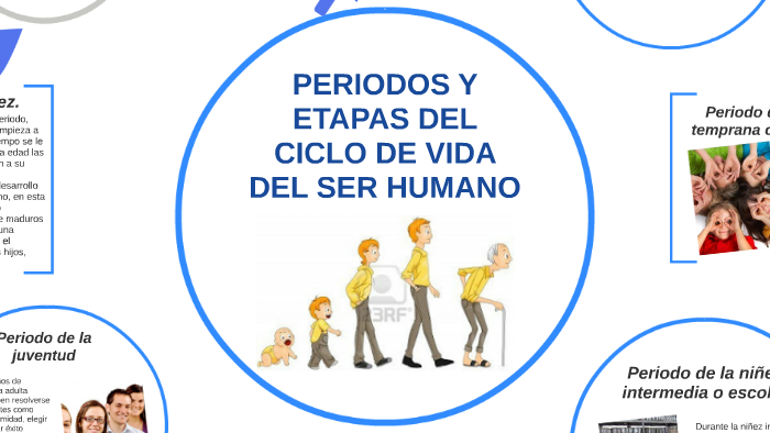 PERIODOS Y ETAPAS DEL CICLO DE VIDA DEL SER HUMANO by Alberto Ramos ...
