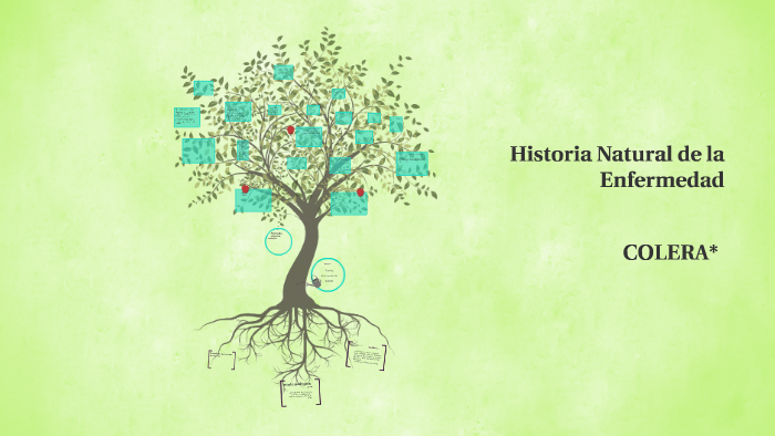 Historia natural de la enfermedad 'colera' by Valeria Bradshaw on Prezi