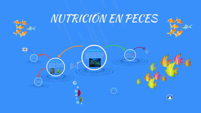 NUTRICIÓN EN PECES by Juli Rivas on Prezi