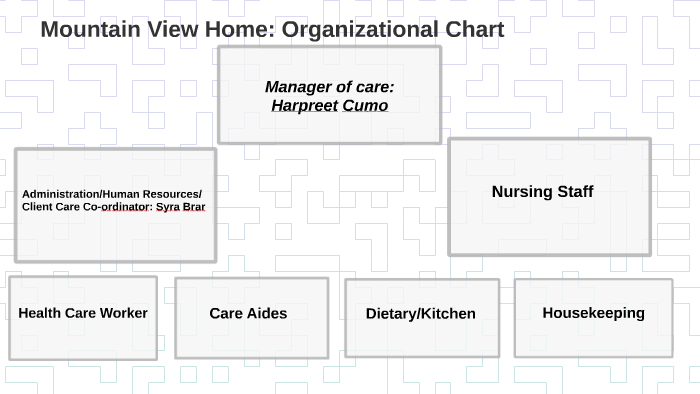 Home Care Organizational Chart
