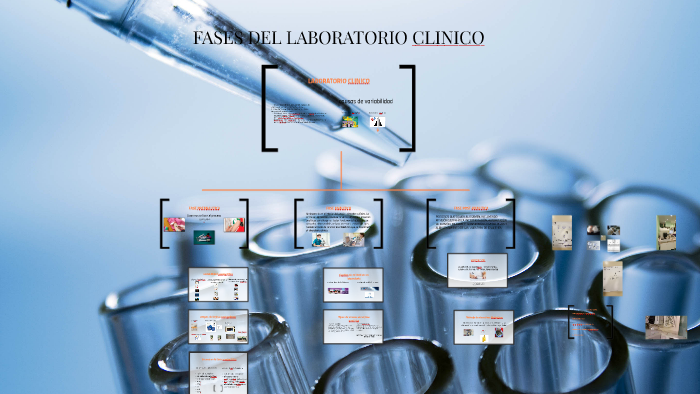 ETAPAS DEL LABORATORIO CLINICO by Angel Cardenas on Prezi