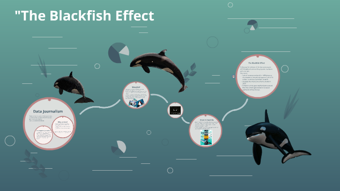 The Consequences Of Blackfish | fundacionhenrydunant.org