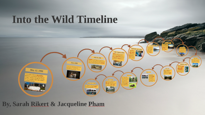 into the wild book timeline