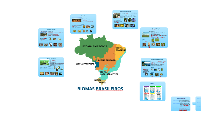 Biomas Brasileiros - Carol Barbieri by carolina barbieri on Prezi