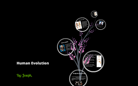 human evolution by joseph anderson on Prezi