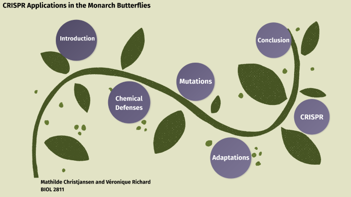 Evolutionary Adaptations on the Monarch Butterfly by Veronique Richard ...