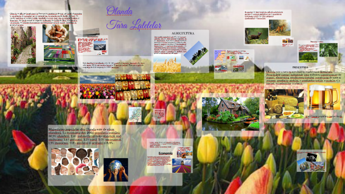 Copy Of Olanda By Mădălina Cociug On Prezi