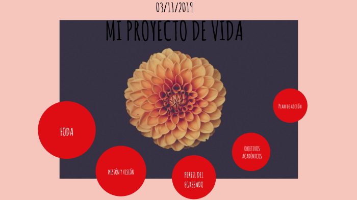 MI PROYECTO DE VIDA by Marisol Nakao on Prezi