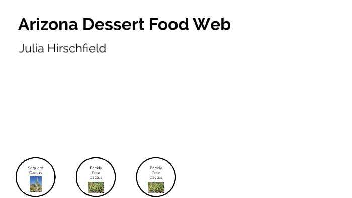 Arizona Desert Food Web by Julia Hirschfield on Prezi