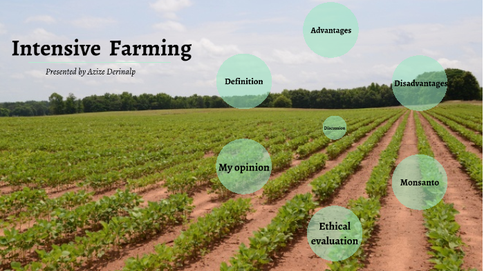 what-is-the-difference-between-organic-and-conventional-agriculture