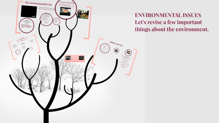 ENVIRONMENTAL ISSUES by Anabel Fdez on Prezi