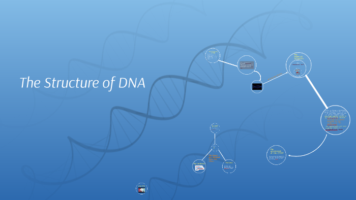 The Structure of DNA by Annarita Ricci on Prezi