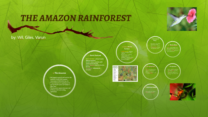 THE AMAZON RAINFOREST by Varun Rao on Prezi
