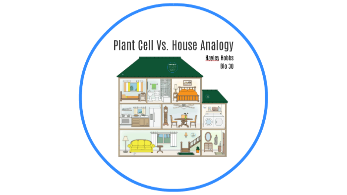Plant Cell Vs. House Analogy by Hayley Hobbs on Prezi
