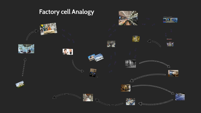 cell factory analogy by Kowsar Hussein