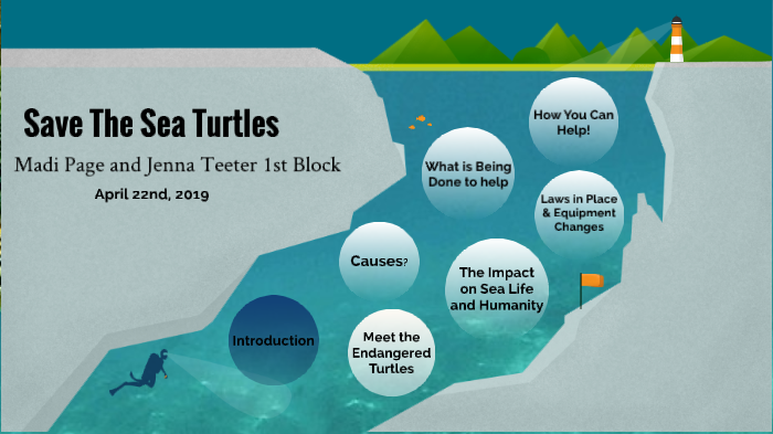 Save The Sea Turtles by Madi Page on Prezi