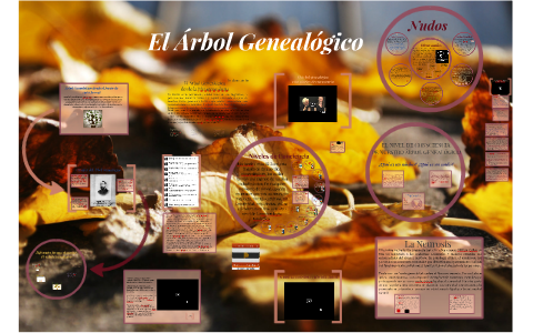 Árbol Genealogico by