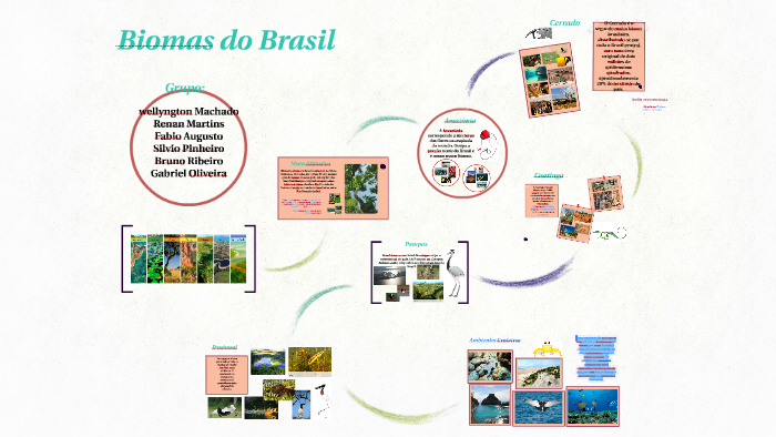 biomas do brasil by wellyngton machado on Prezi