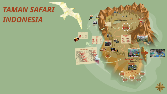 Taman Safari Indonesia By Divya Syaqilla On Prezi