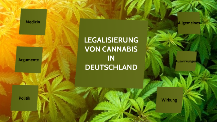 Cannabis Legalisierung By Sarah Kläser On Prezi