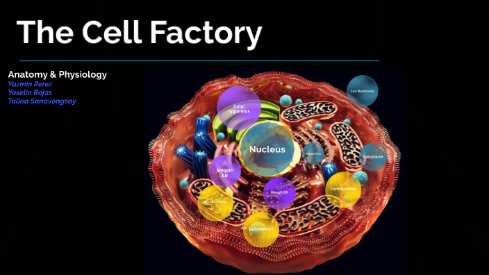 The Cell Factory By Yazmin Perez On Prezi