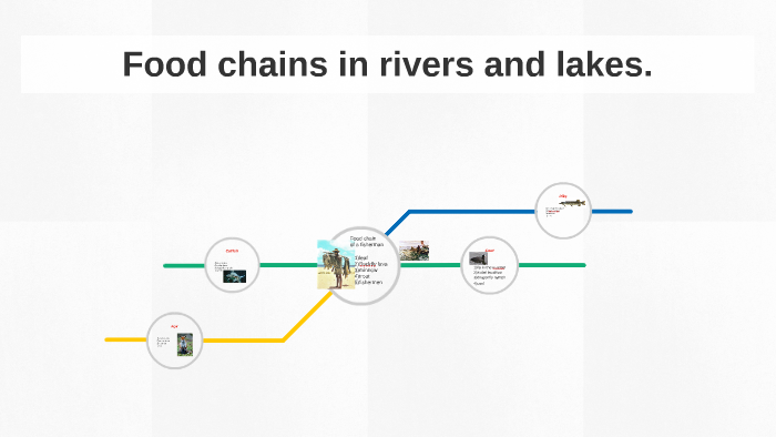 Food chains in rivers and lakes. by Rehan Hussain on Prezi Biology Diagrams