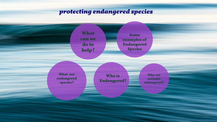 protecting endangered species by Natasha Spanninga on Prezi