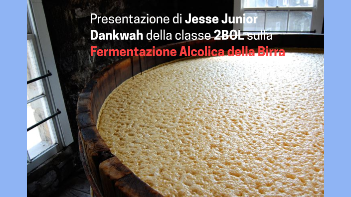Fermentazione Alcolica della Birra by Jesse Junior Dankwah