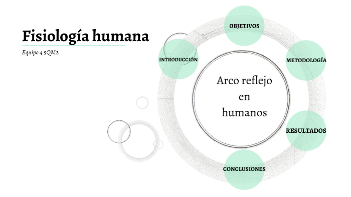 Diagrama del arco reflejo del reflejo rotuliano