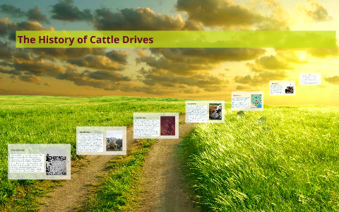 History of Cattle Drives~ by Lacey Trull on Prezi