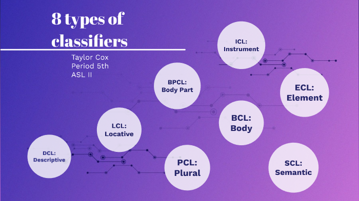 8 Types of Classifiers by Taylor Cox on Prezi