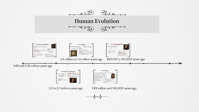 Human Evolution by arsolomon wilson on Prezi