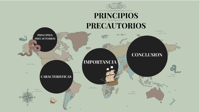 PRINCIPIOS PRECAUTORIOS CLARO QUE SI by EL VISHOLON on Prezi