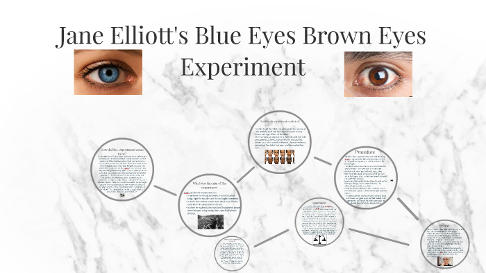 brown eyed and blue eyed experiment