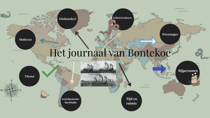 Het Journaal Van Bontekoe Samenvatting
