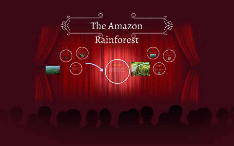 The Amazon Rainforest by Eve Harrison on Prezi