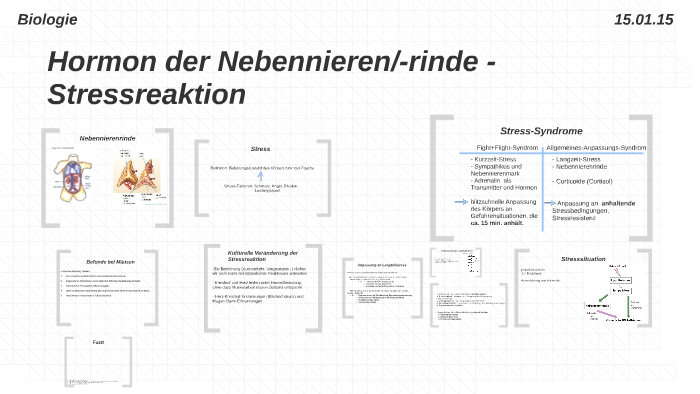 Hormone der Nebennierenrinde by Jul Pa