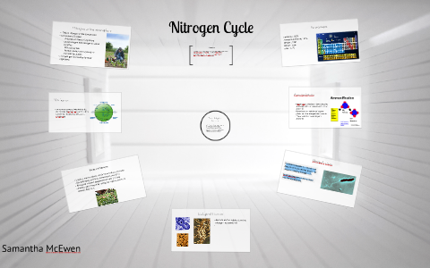 Nitrogen Cycle by Samantha McEwen on Prezi