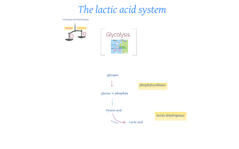 The lactic acid system by laura fry on Prezi