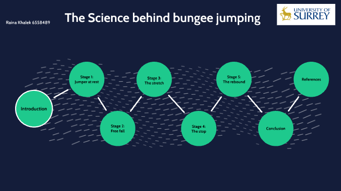 bungee jumping science