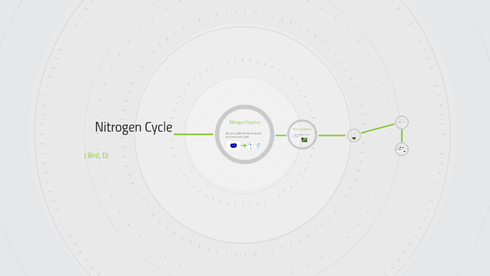 Nitrogen Cycle by Jordan West on Prezi