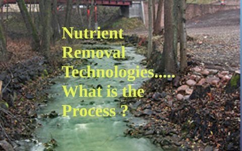 Nutrient Removal Technologies - What Is This Process???? By Robert ...