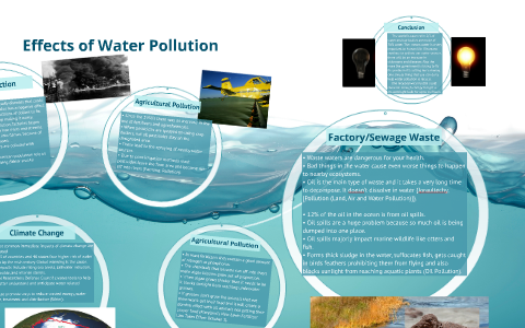 Effects of Water Pollution by Big Brown on Prezi