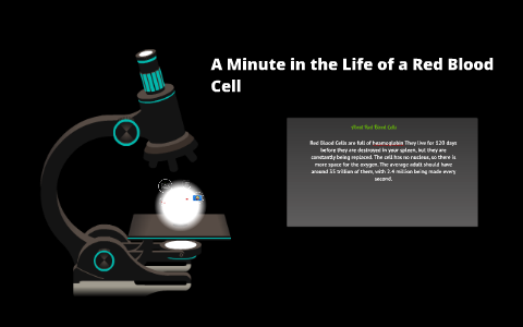 A Minute in the Life of a Red Blood Cell by amy matthews on Prezi