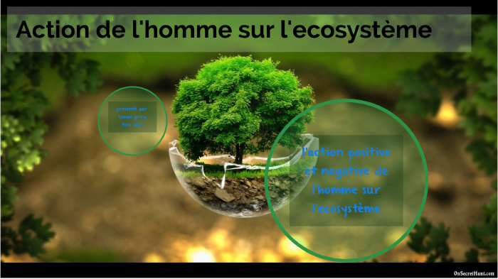 action positive de l homme