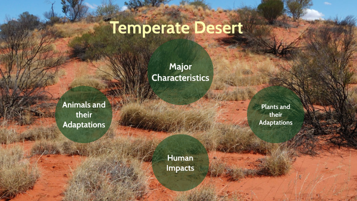 Temperate desert by Austin Moore