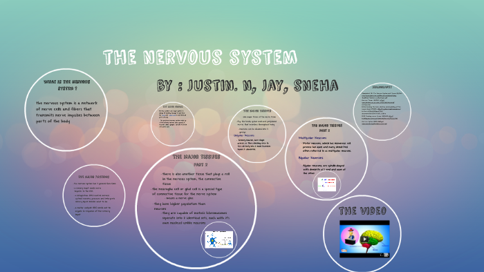 the nervous system by on Prezi