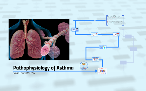 asthma pathophysiology essay