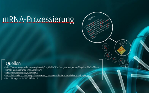 mRNA-Prozessierung by Christian Dieckmann on Prezi Next