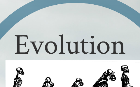 Evolution Of Man Kind by Lily Huttemann on Prezi